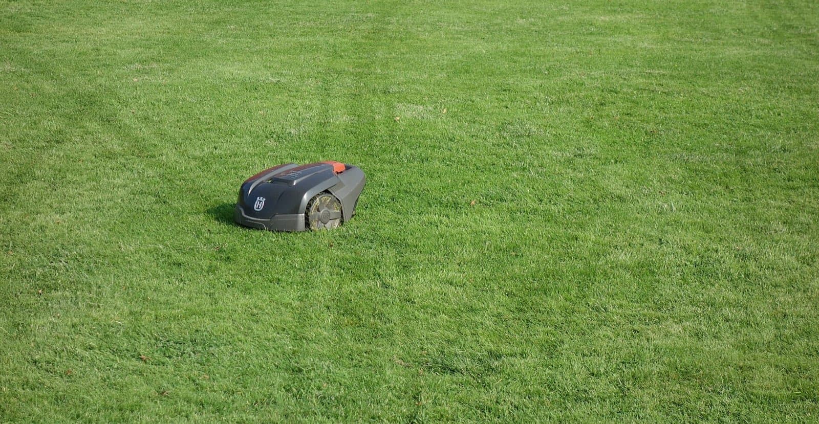 Mähroboter auf einem frisch gemähten Rasen mit Fahrspuren