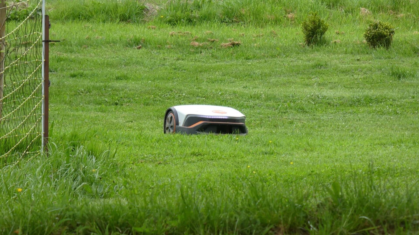 Mähroboter auf einer großen Rasenfläche